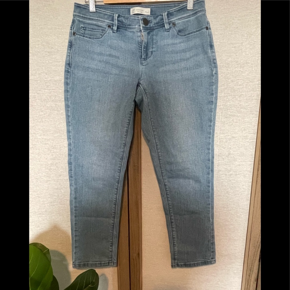 J.Jill Authentic Fit Slim Ankle Jeans | size: 2 Petite - Picture 2 of 9